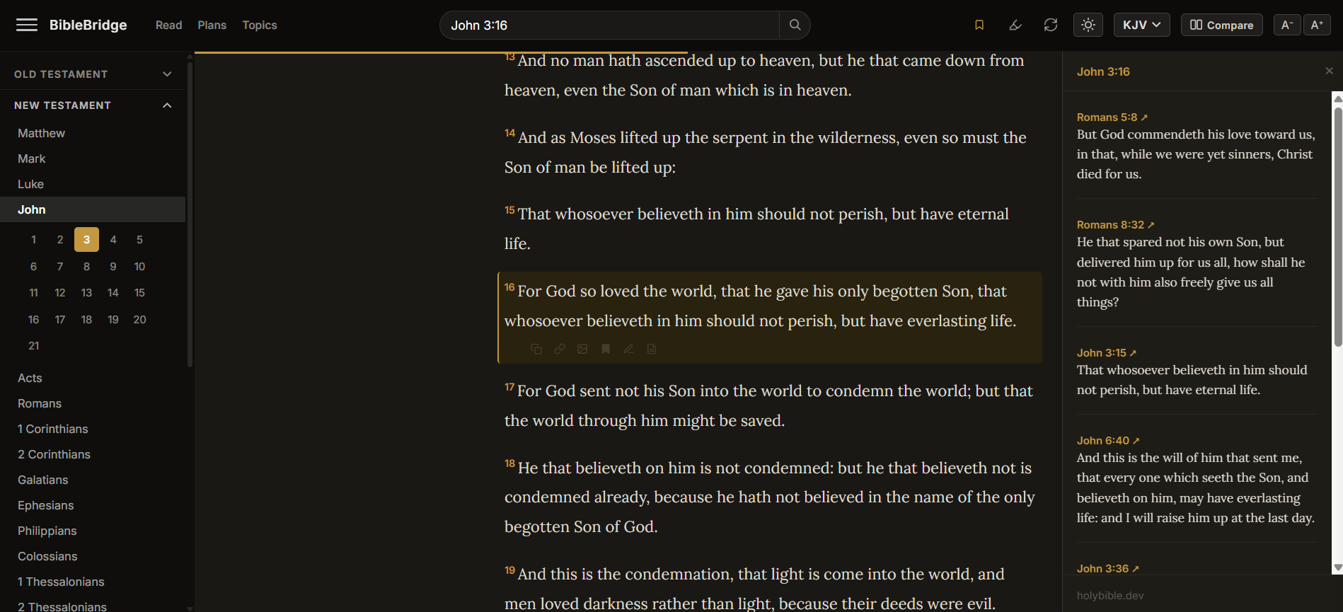 BibleBridge reader showing John 3:16 with cross-references and book navigation